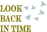 look back in time